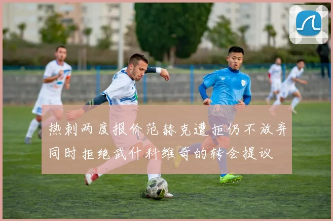 热刺两度报价范赫克遭拒仍不放弃同时拒绝武什科维奇的转会提议