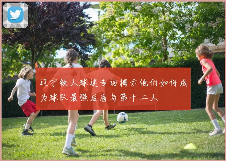 辽宁铁人球迷专访揭示他们如何成为球队最强后盾与第十二人