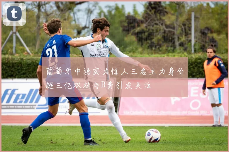 葡萄牙中场实力惊人三名主力身价超三亿双核与B费引发关注