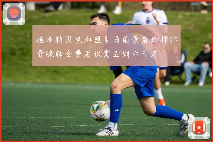 施洛特贝克加盟皇马前景看好穆帅青睐转会费用仅需五到六千万